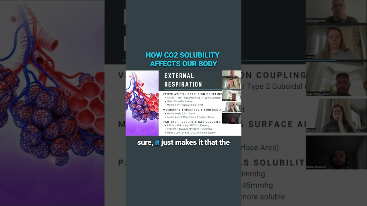 Henry's law and CO2 during breathwork