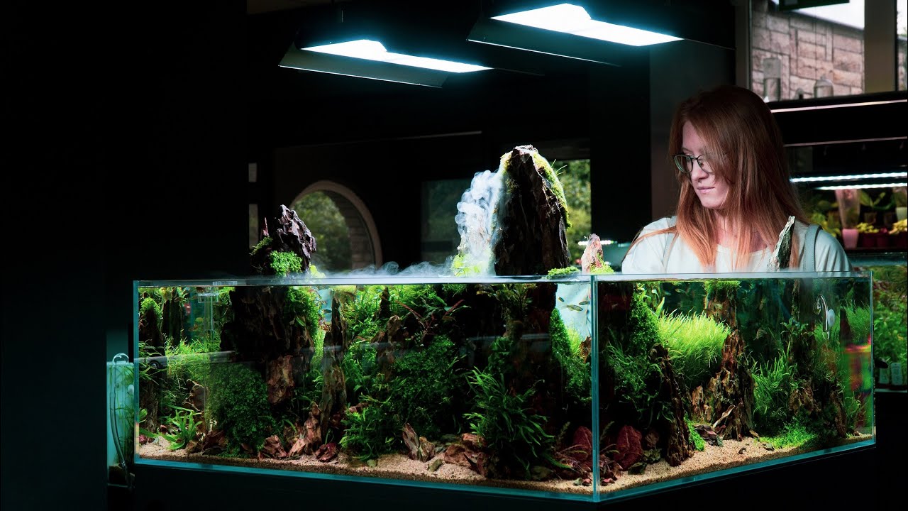 KAŻDY AKWARYSTA POWINIEN TO ZOBACZYĆ - Green Aqua Budapeszt