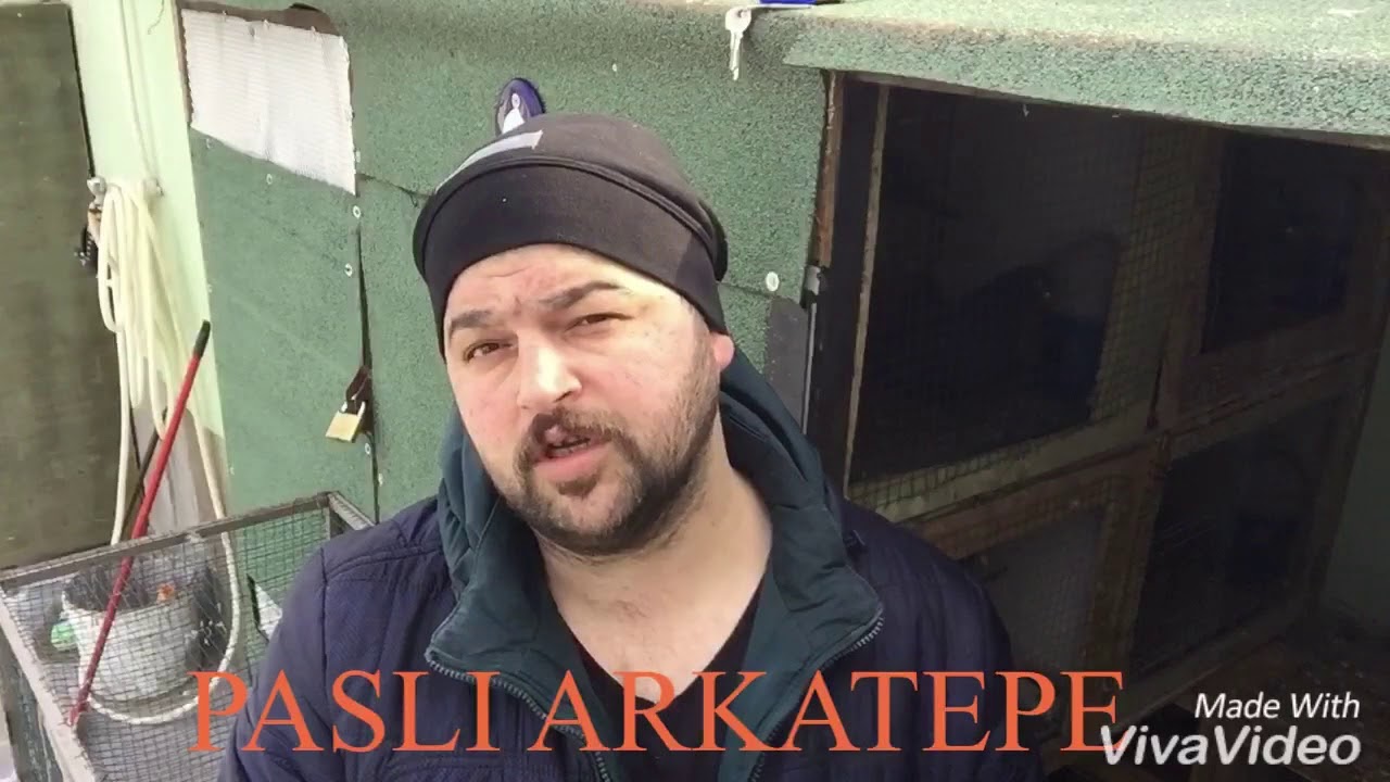 PASLI ARKATEPE BOZKİRLİ EFSANE OYUN KUŞLARI