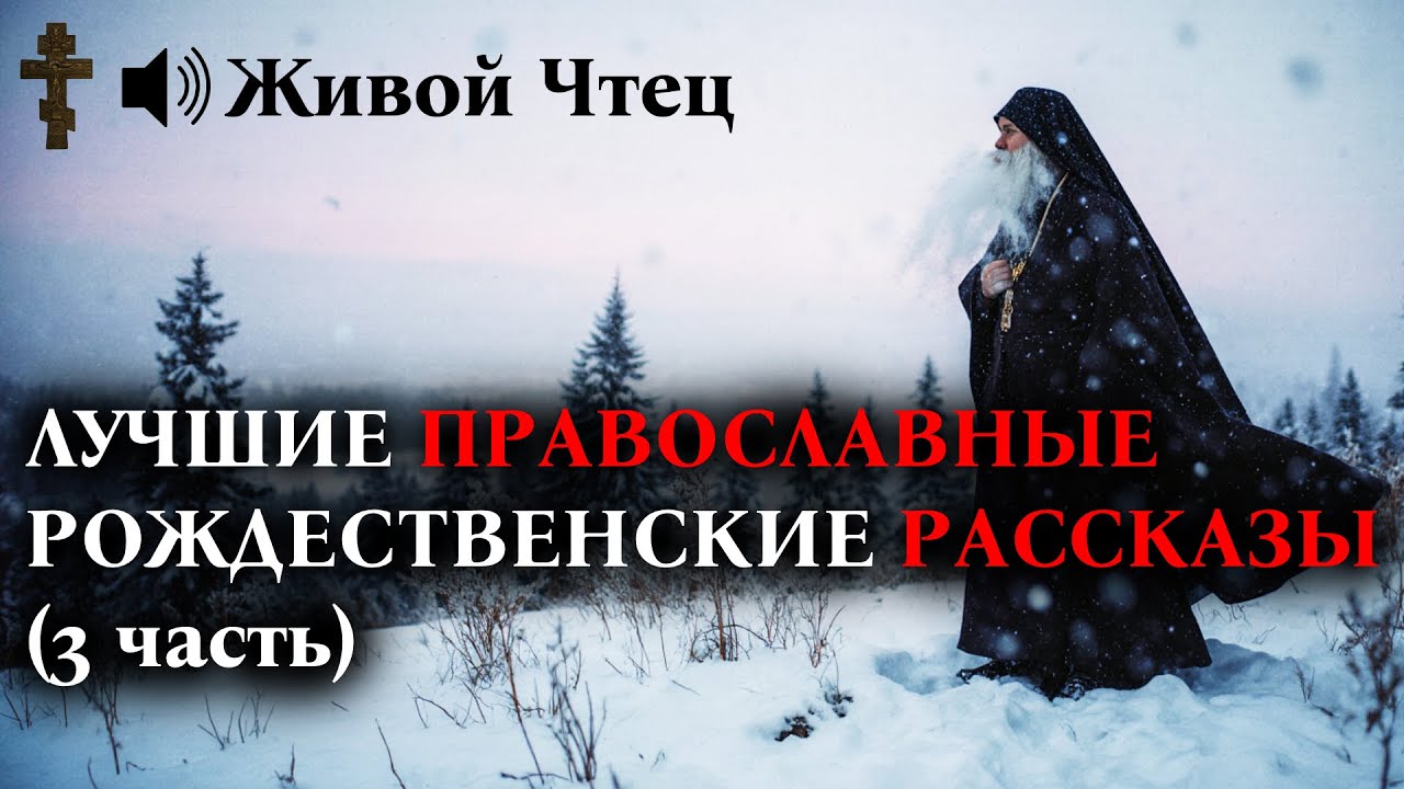 ЛУЧШИЕ ПРАВОСЛАВНЫЕ РОЖДЕСТВЕНСКИЕ РАССКАЗЫ (3 часть)