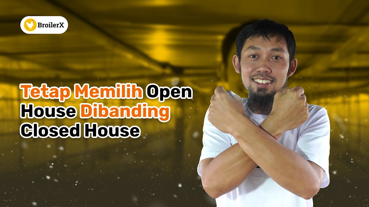 Kandang Open House di Dataran Tinggi Lebih Untung!