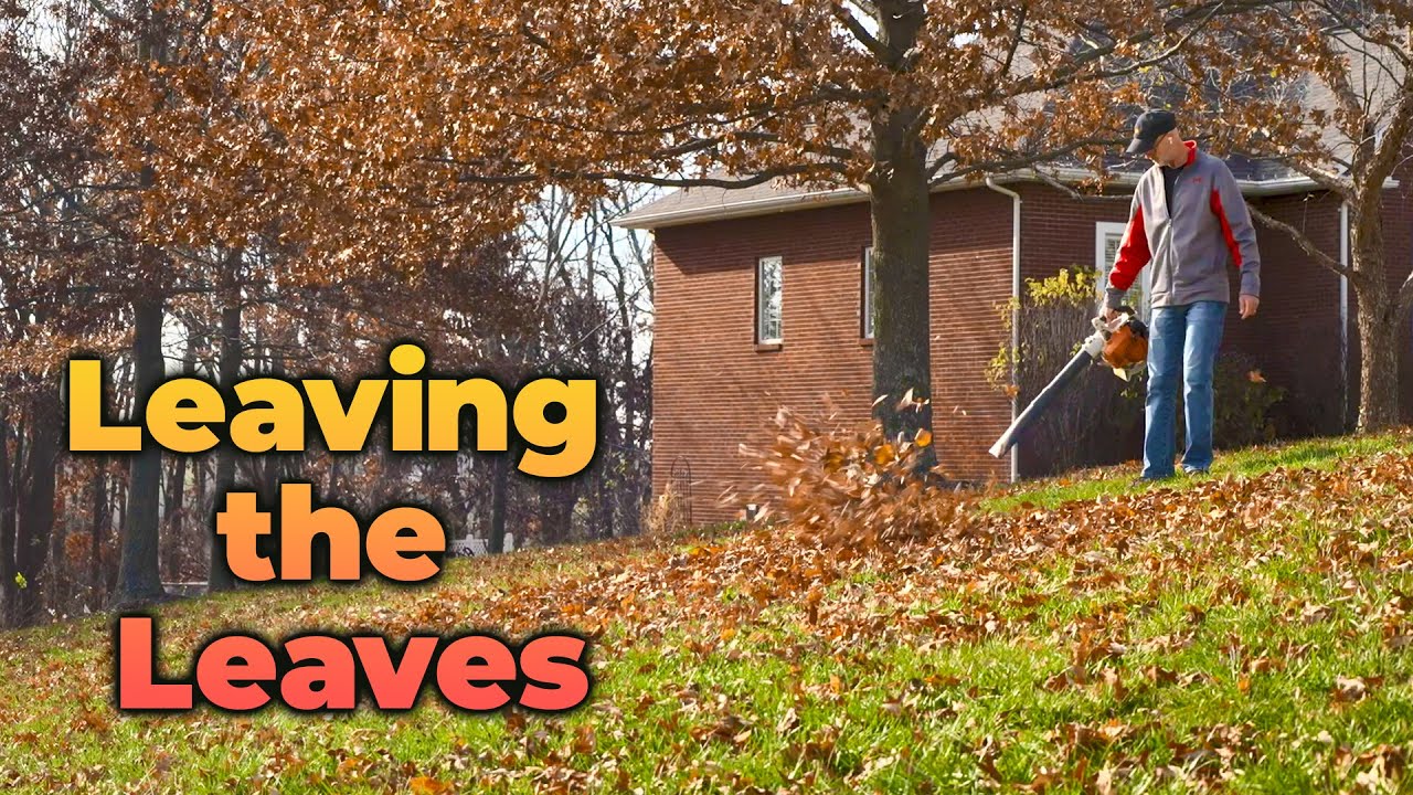 Leaving the Leaves