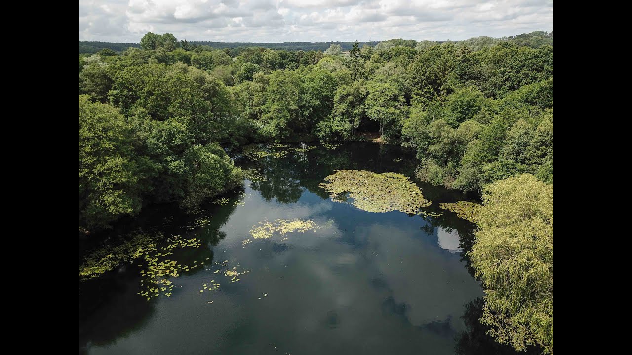 Taverham Mill, Norwich