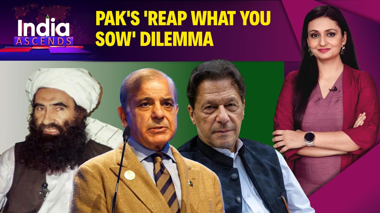 Pakistan On The Edge: Crumbling Haqqani Network And Imran Khan's Rising Power