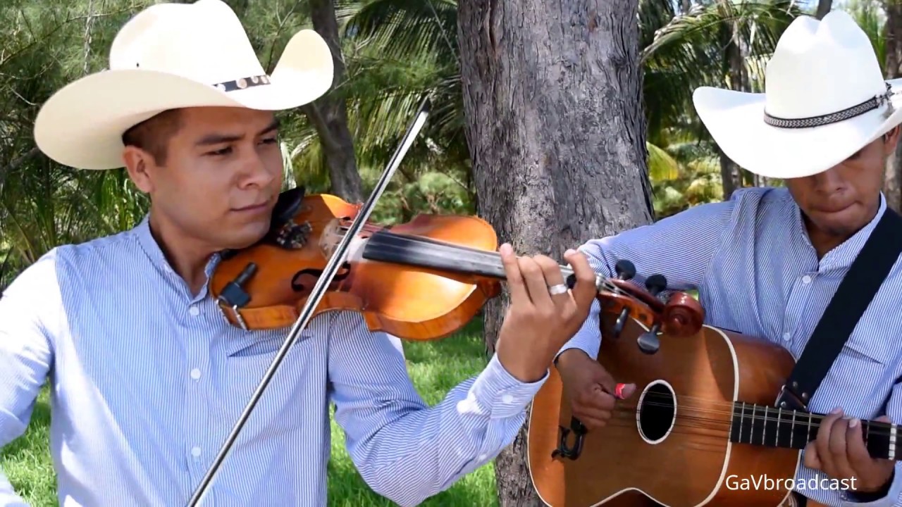 DESPACITO por el Trío Alma Huapanguera de Tuxpan, Ver.