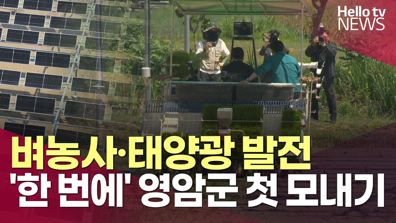 벼농사·태양광 발전 '한 번에' 영암군 첫 모내기ㅣ#헬로tv뉴스