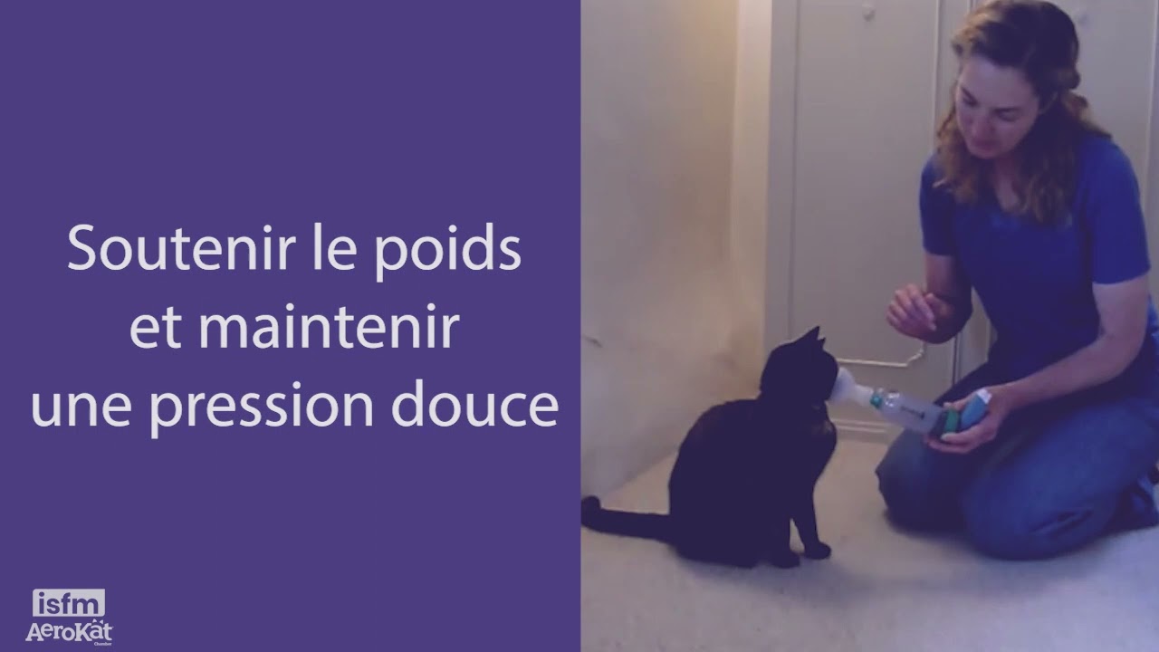 Unterrichten Sie jeder Katze AeroKat* - 4: Verlängerung der Dauer