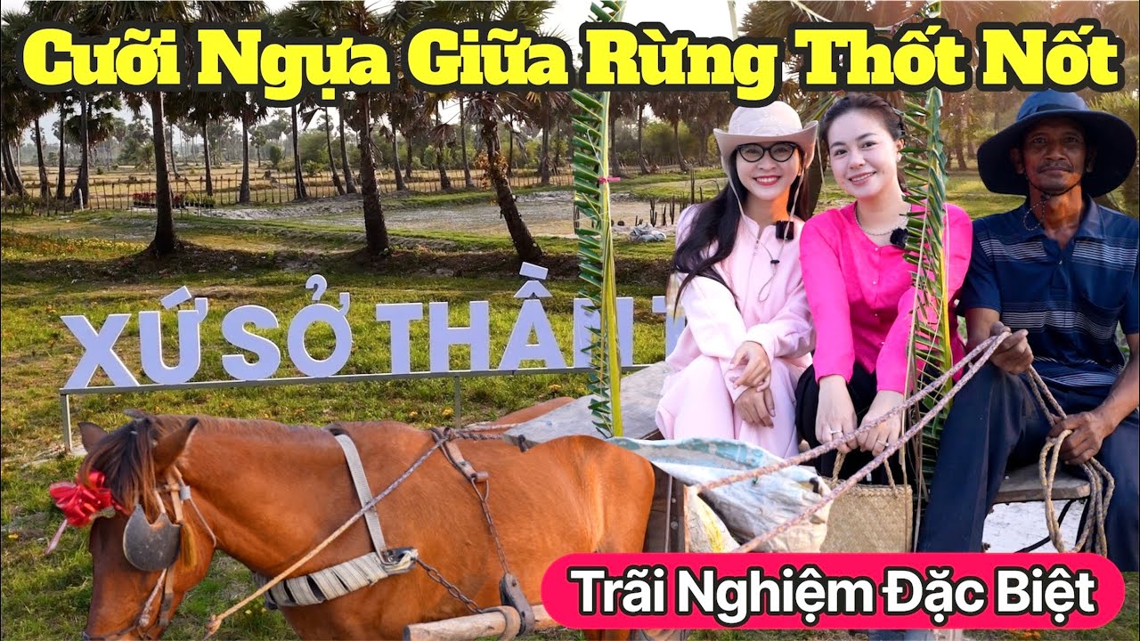 Trãi nghiệm đặc biệt cưỡi Ngựa trong Rừng Thốt Nốt lần đầu có mặt tại An Giang