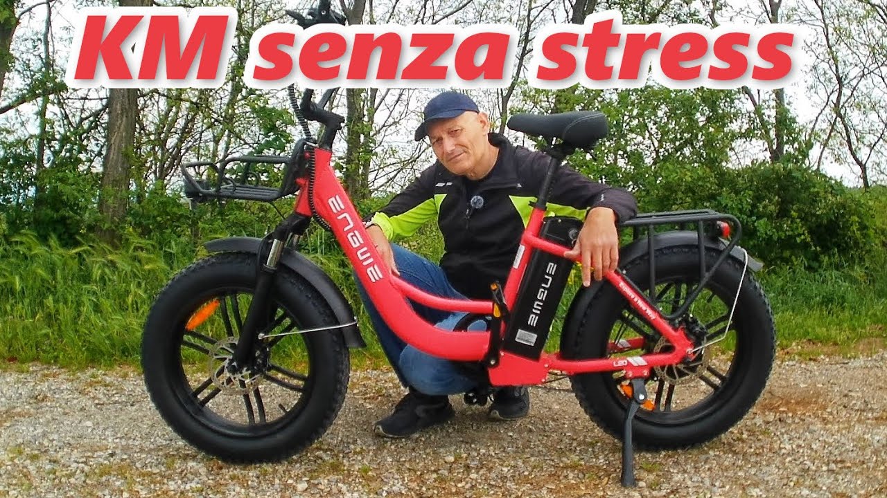 E-bike in Italia: tutto su potenze e acceleratore | ENGWE L20 la cargo bike intelligente