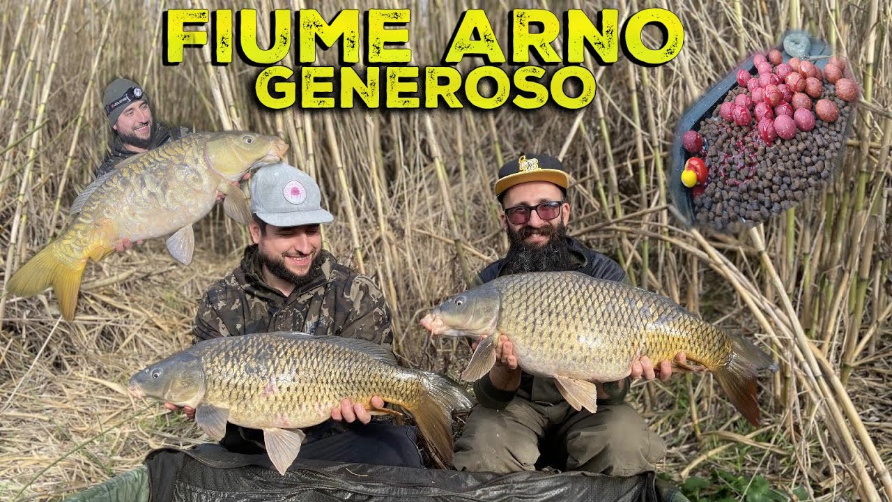 Carpfishing a Febbraio sul Fiume ARNO con tantissime CARPE