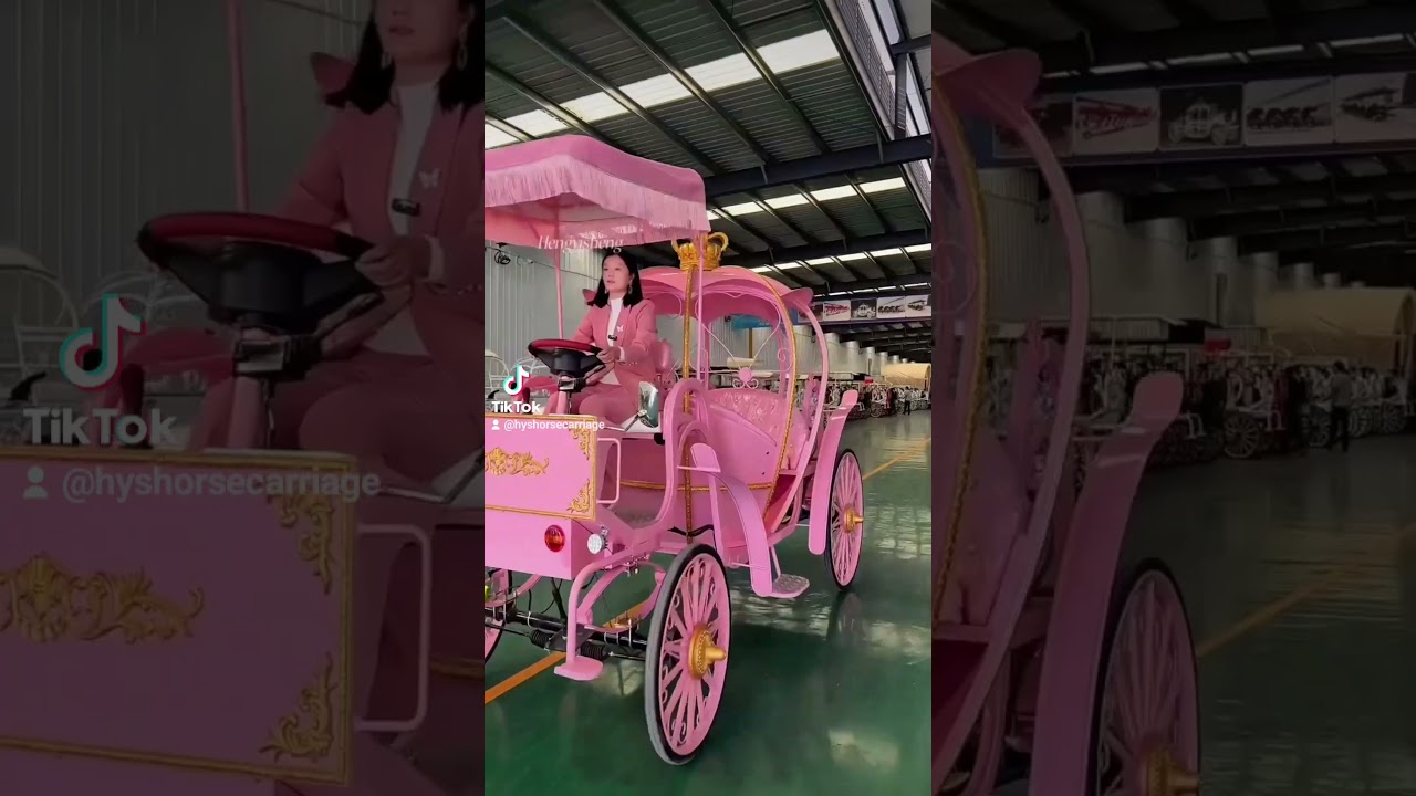 Hot sale pink Cinderella carriage/electric pumpkin carriage,My WhatsApp:+86 189 3740 1390