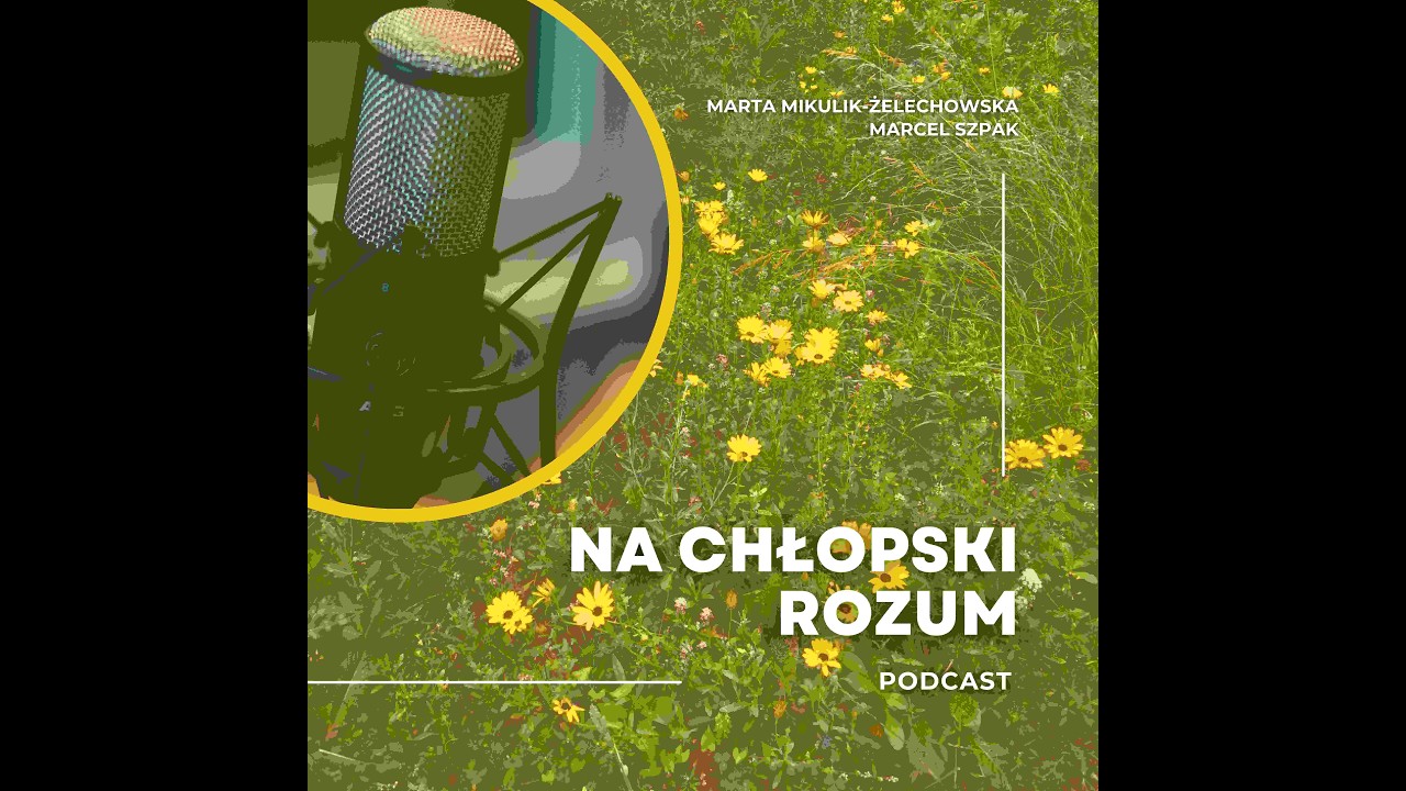 #55 Gdzie się podziały pieniądze ze sprzedaży ETS? Ile wydano na modernizację? Raport NIK