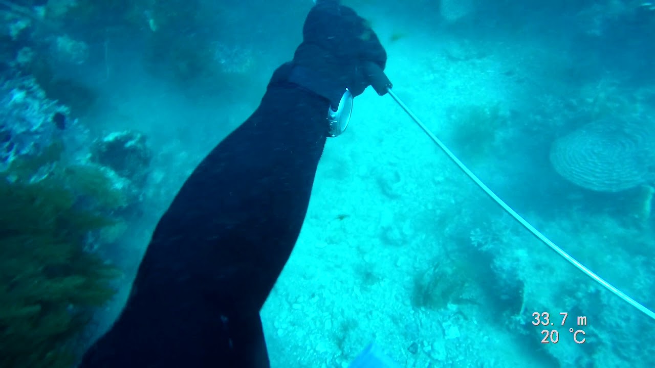 South Western Australia Crayfish Diving