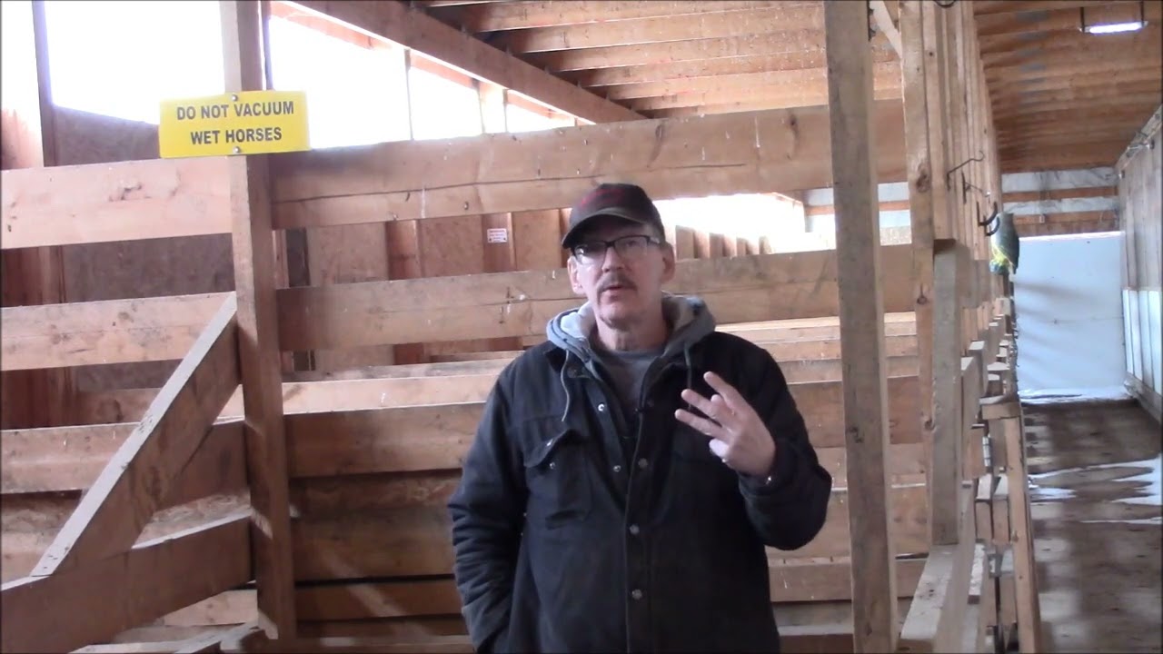 EXTRA - Good Horsemanship IS caring for horses. / Horse training