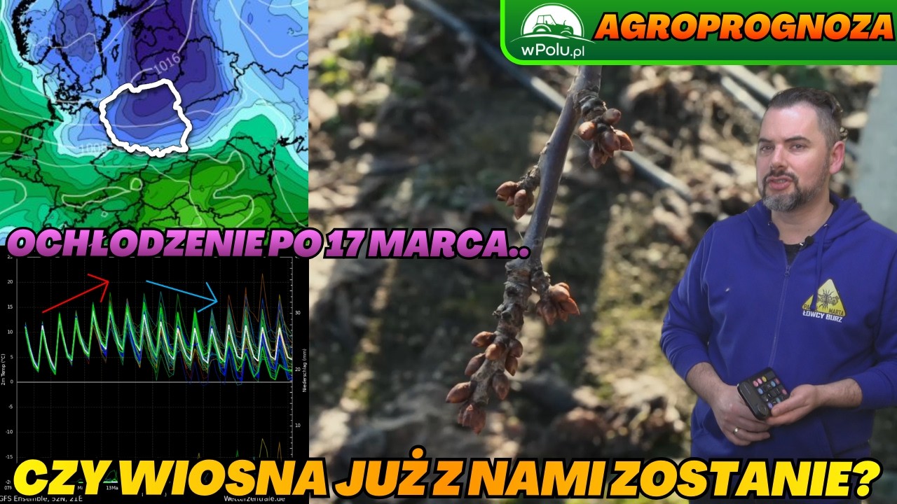 Czy wiosna już zawitała na stałe? Tak. Jednak ochłodzenie jest widoczne po 15 marca. Agroprognoza.