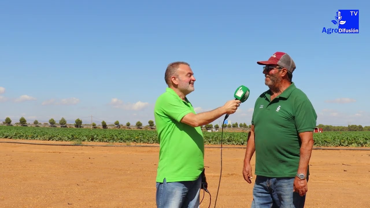 Reportaje || Finca Coagrin, la mayor finca de calabacín al aire libre de Andalucía