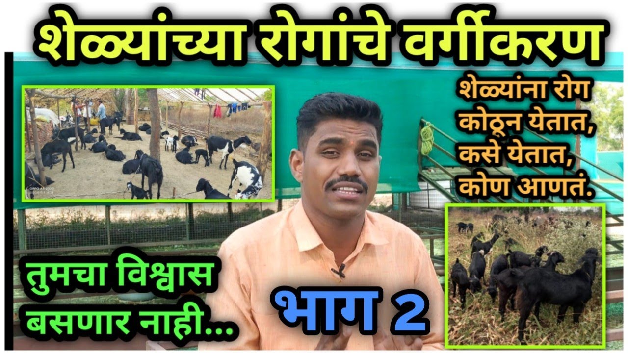 शेळ्यांना येणारे प्रमुख रोग (आजार) व उपचार भाग 2   #शेळीपालन  #Shelipalan
