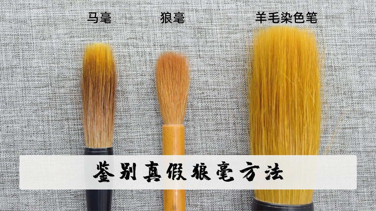 用了十几年毛笔，你掌握了如何鉴别狼毫毛笔吗？全面分析狼毫毛笔