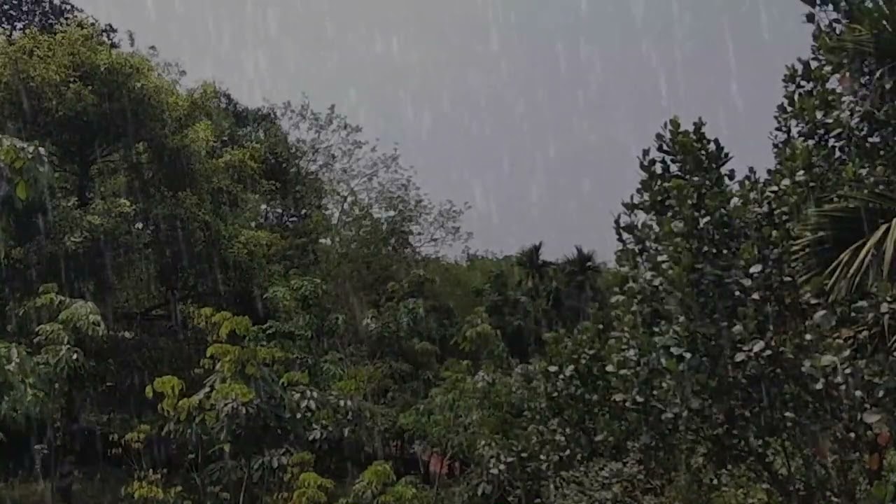 enjoy the sounds of rain and thunder | rain sounds