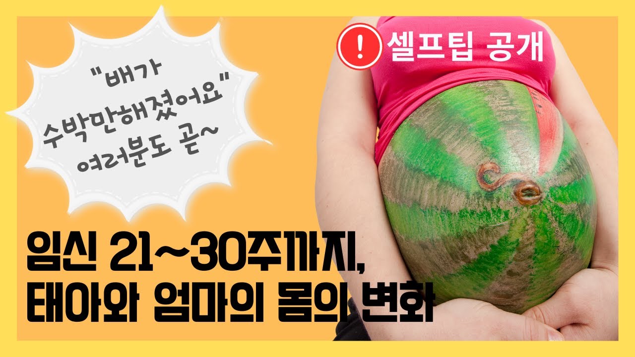 임신 주차별 [21~30주] 태아와 엄마의 변화 및 셀프팁 공개 ㅣ 불편한 호흡, 땡땡한 부종, 급격한 체중변화, 통증, 불면 까지 ... 임신 중기의 변화를 알아보겠습니다.