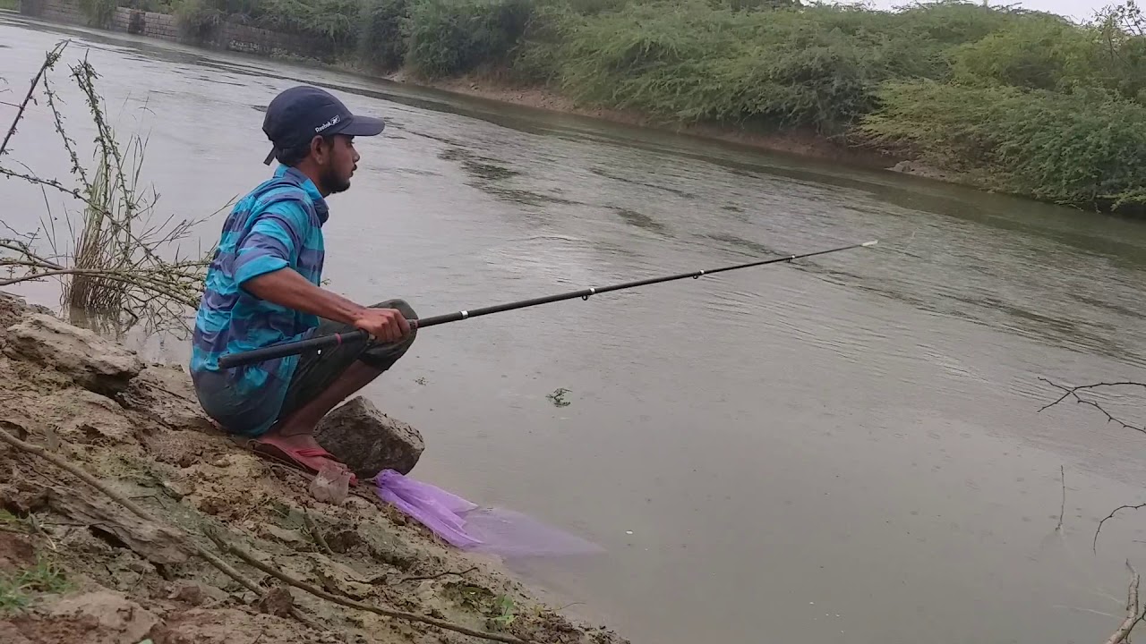 Fish hunting || Fishing in rain