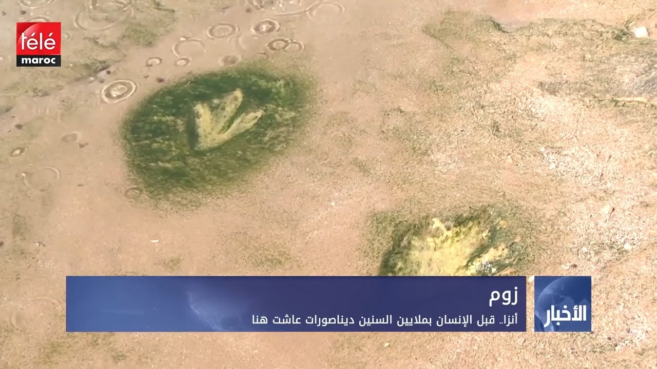 آثار ديناصورات عاشت قبل ملايين السنين بأنزا