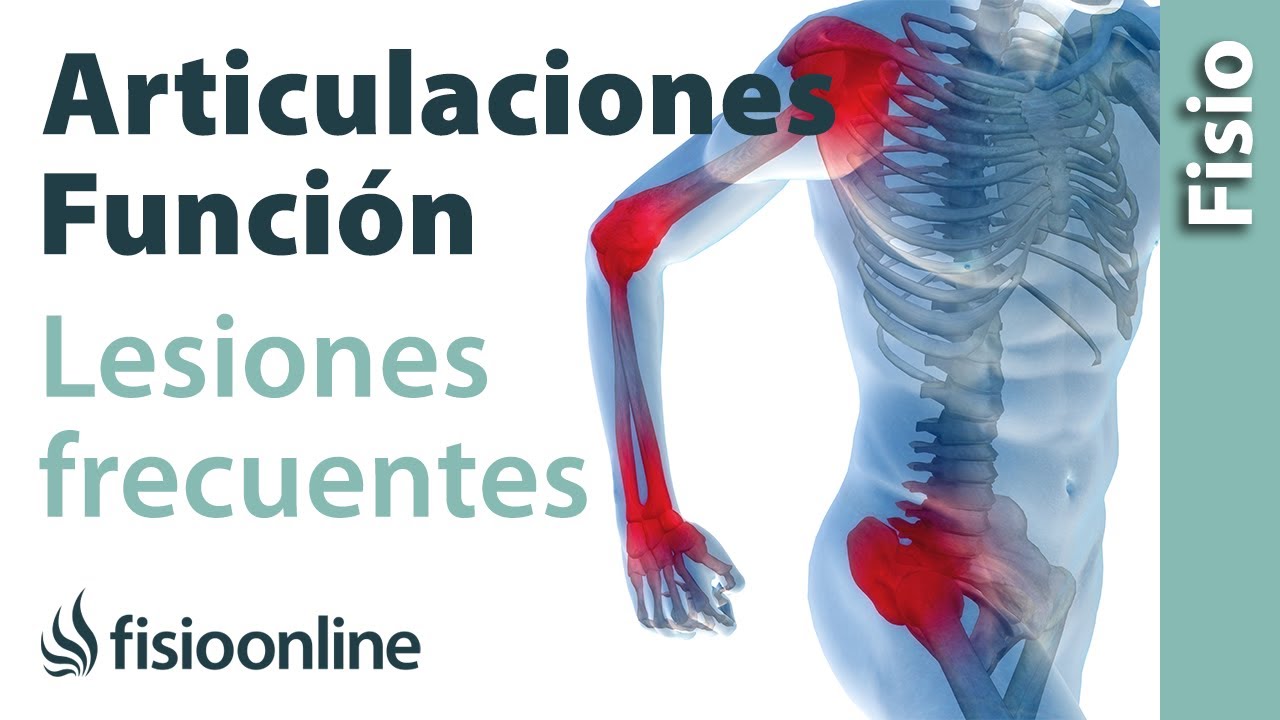Articulación - Estructura, funcionamiento y lesiones más frecuentes