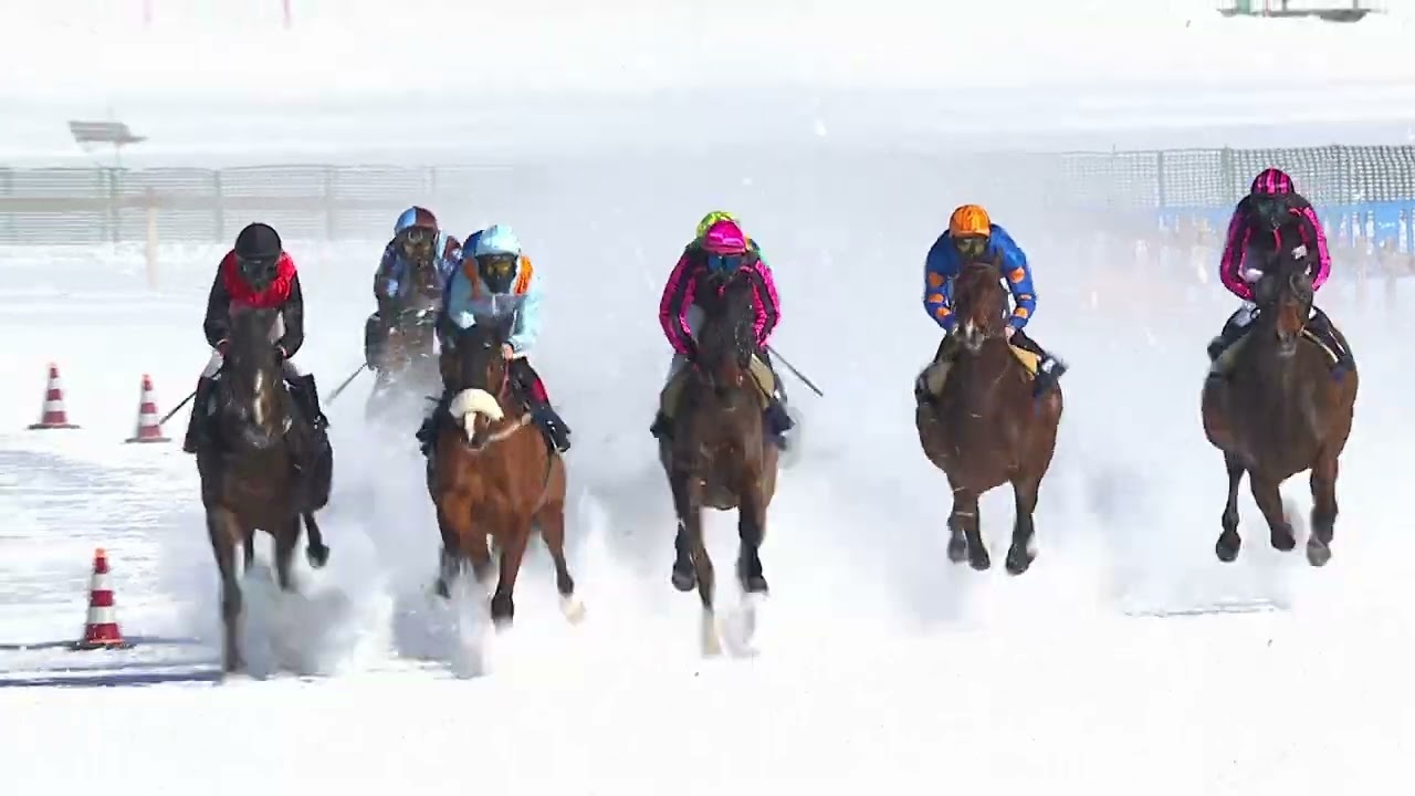 Highlights White Turf Sonntag 13.02.2022