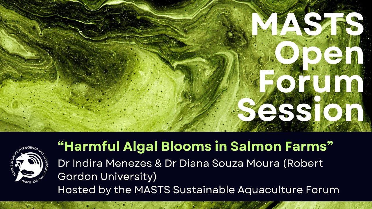 Harmful Algal Blooms in Salmon Farms | MASTS Open Forum Session