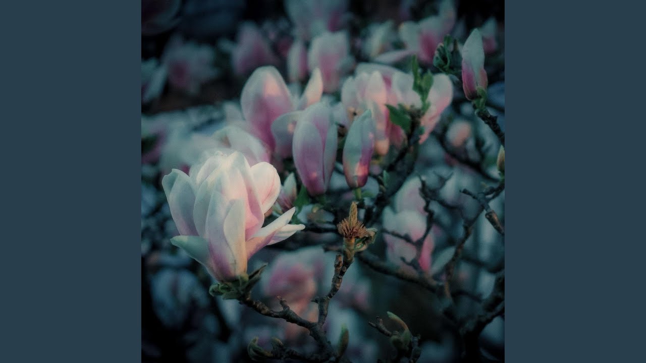 Fragile