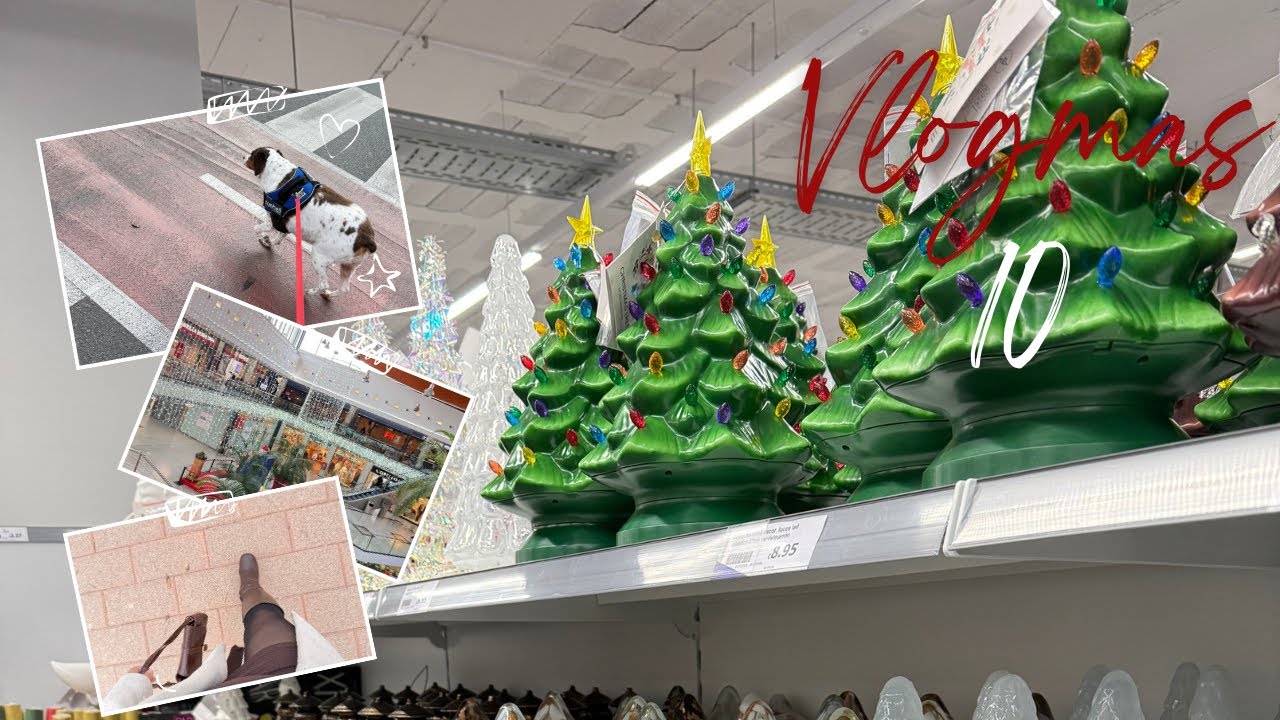 🎄VLOGMAS 10🎄 Compras en Action, disfrutando de un día de descanso