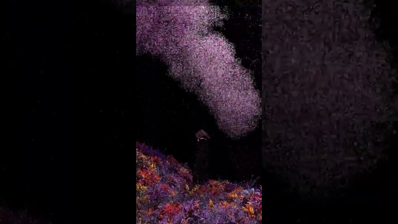 Time Lapse of 