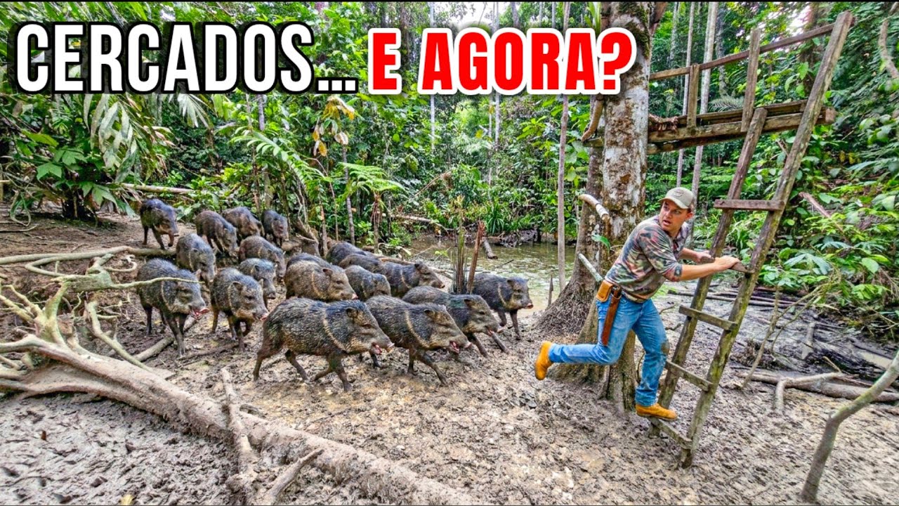DAMOS DE CARA COM UM BANDO DE QUEIXADAS — TIVEMOS QUE AGIR RÁPIDO!