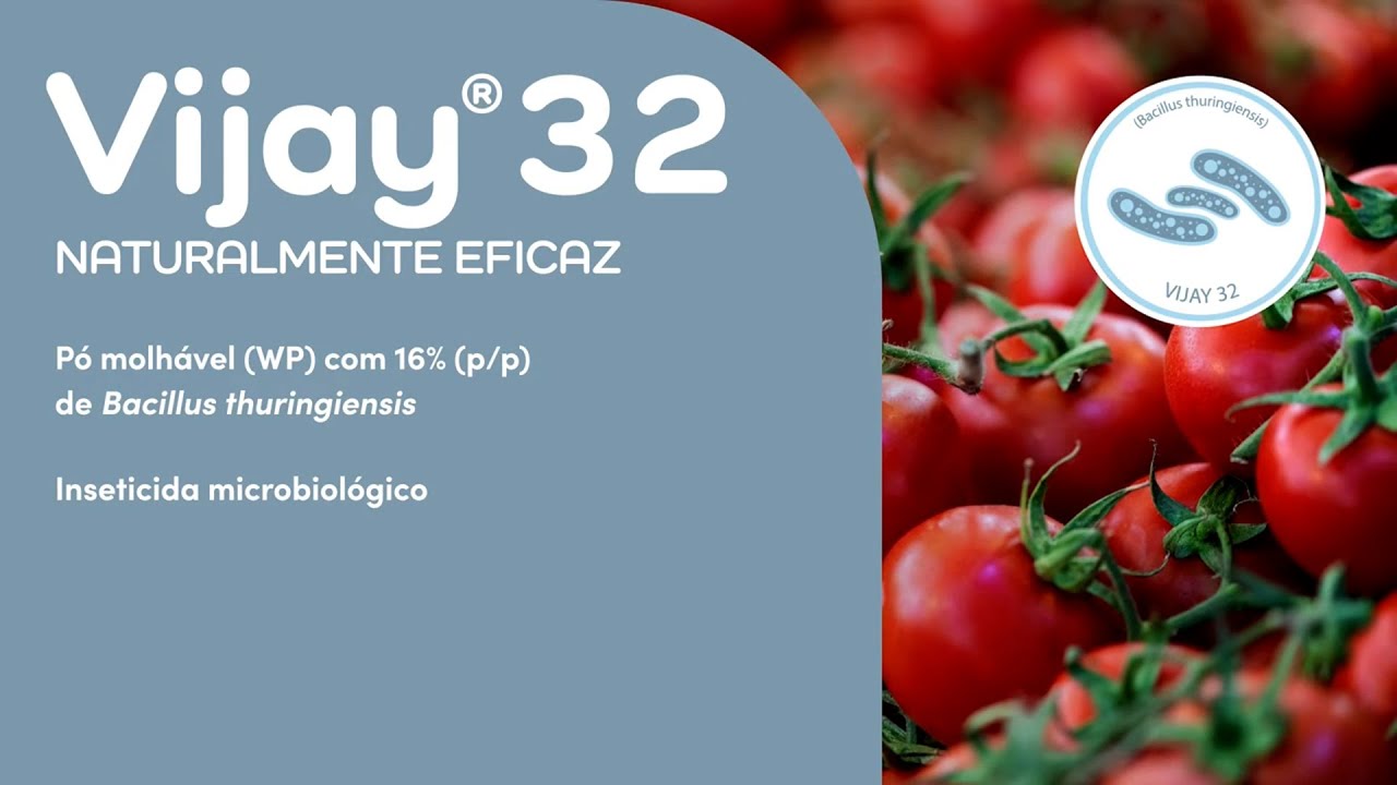 VIJAY® 32 - Naturalmente Eficaz