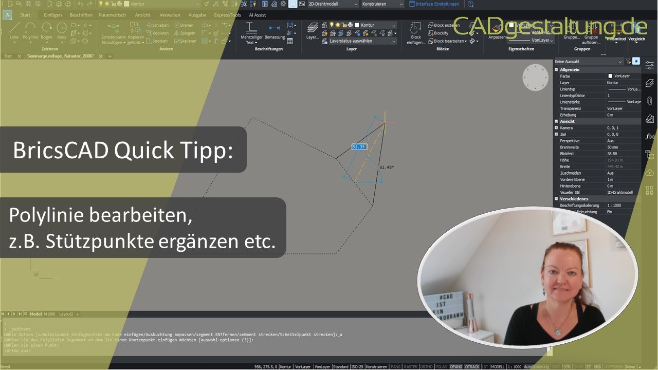BricsCAD Tipp: Polylinie einfach(er) bearbeiten, Scheitelpunkte ergänzen, löschen etc.