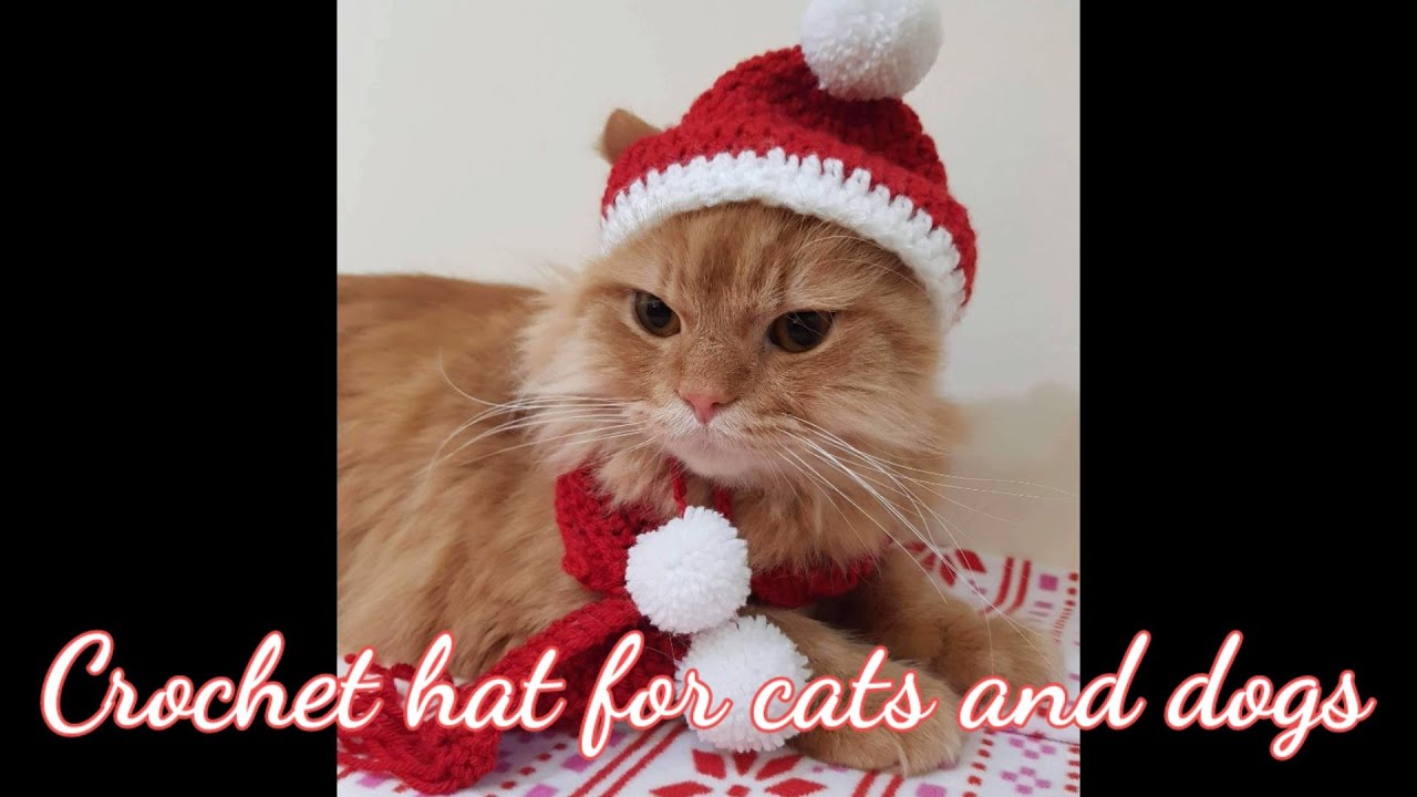 Easy crochet hat for cats / dogs