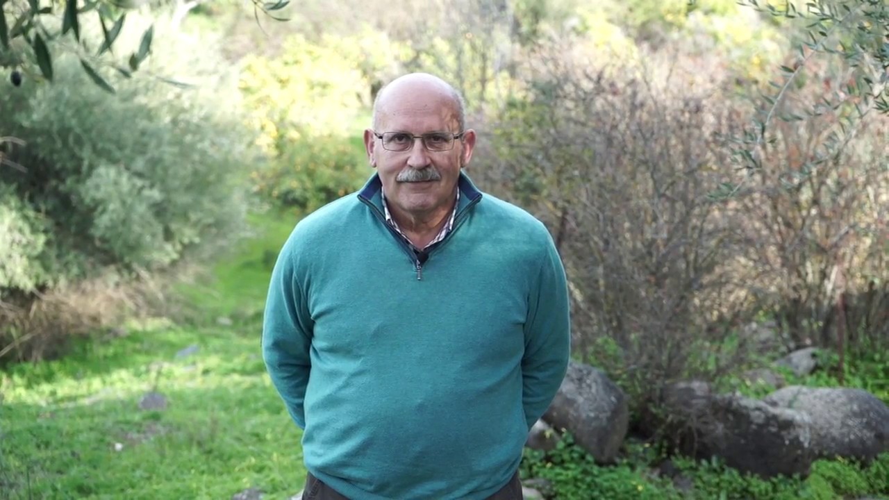 A Forgotten Treasure: Making Oil from Wild Olives