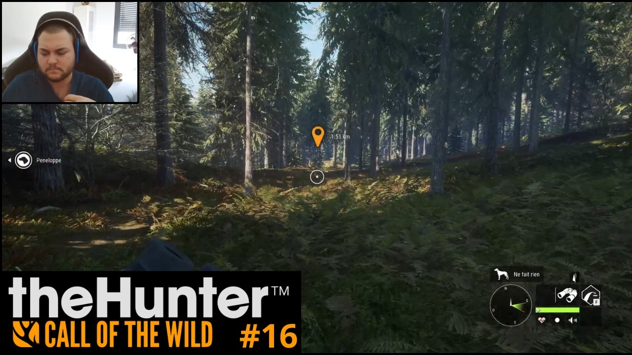 C'est décidé je chasse au fusil. TheHunter COTW #16