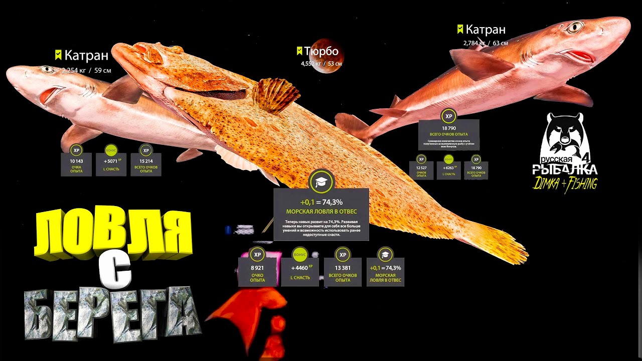 Русская рыбалка 4. 🎣🦈 Норвежское море 🧜‍♂️ 🐡🦈🦈💦 ЛОВЛЯ с БЕРЕГА 👀