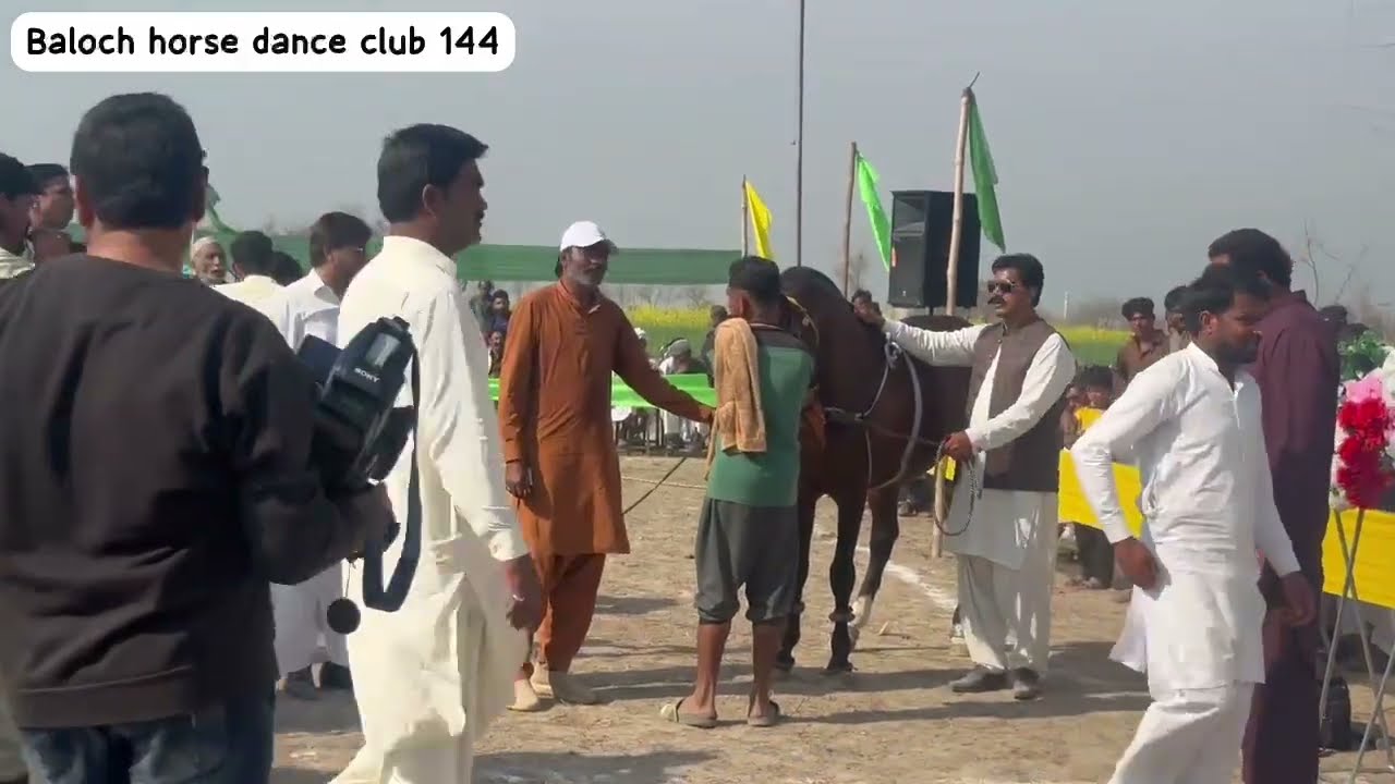 فائٹر کی شاہانہ چال اور استاد اشفاق منشا کا کمال