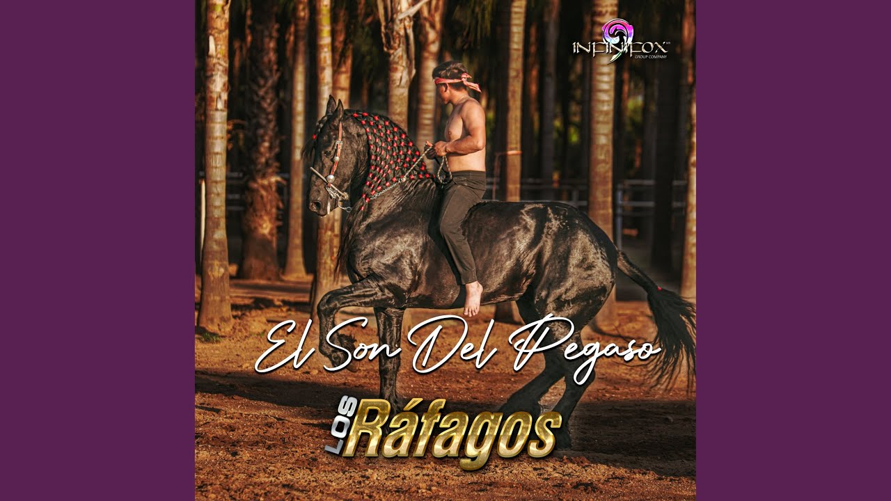 El Son del Pegaso