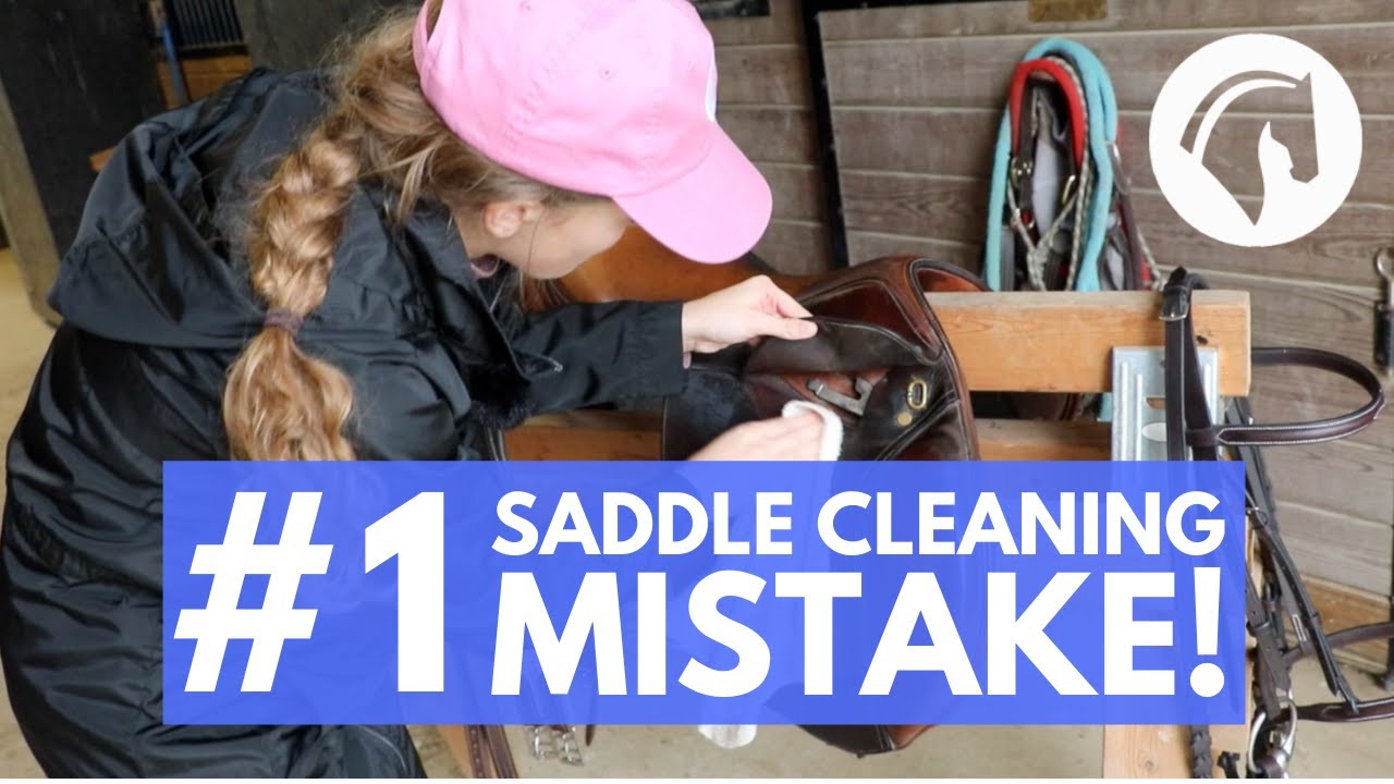 HOW TO CLEAN A HORSE SADDLE: STEP-BY-STEP