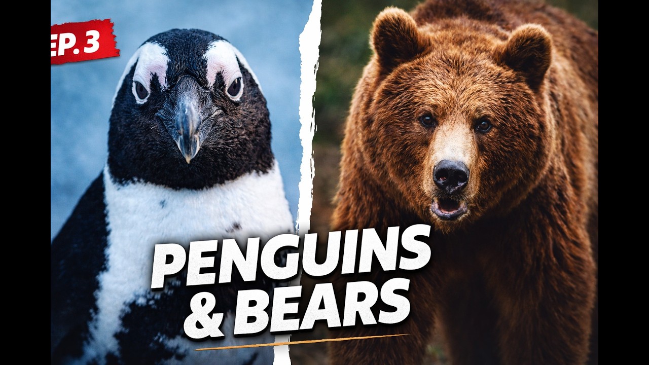 🐻🐧🦅🐟🦎 Откройте для себя зоопарк Будапешта: Пингвины, медведи и тайны Карпат | Эп. 3
