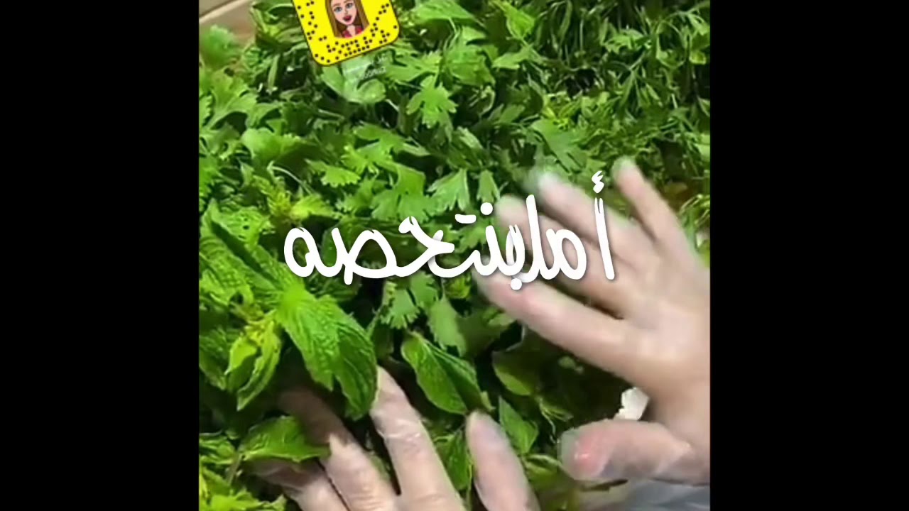 طريقة  حفظ الورقيات بالثلاجه اطول فتره أمل بنت حصه