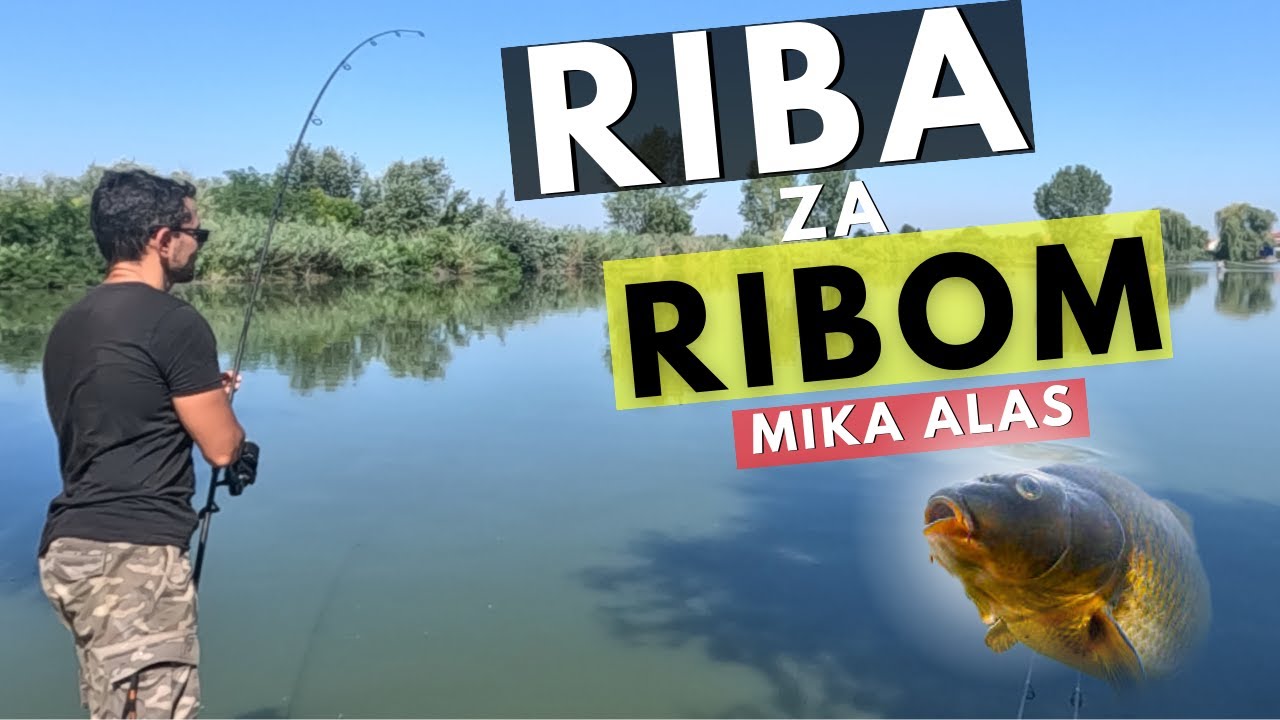 RIBA ZA RIBOM! - Pecanje šarana!
