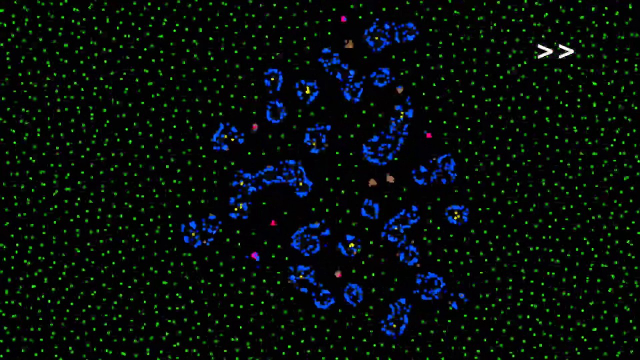 How life emerges from a simple particle motion law: Introducing the Primordial Particle System