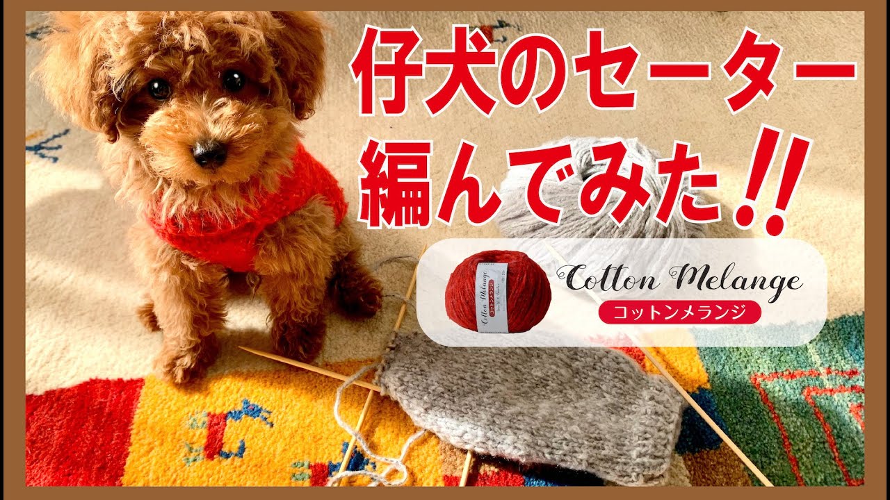 【コットンメランジ】仔犬のセーター編んでみた！！