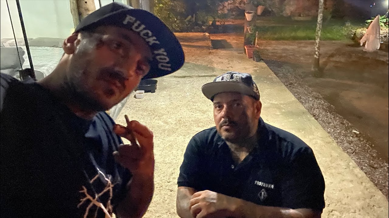 Live com douglas