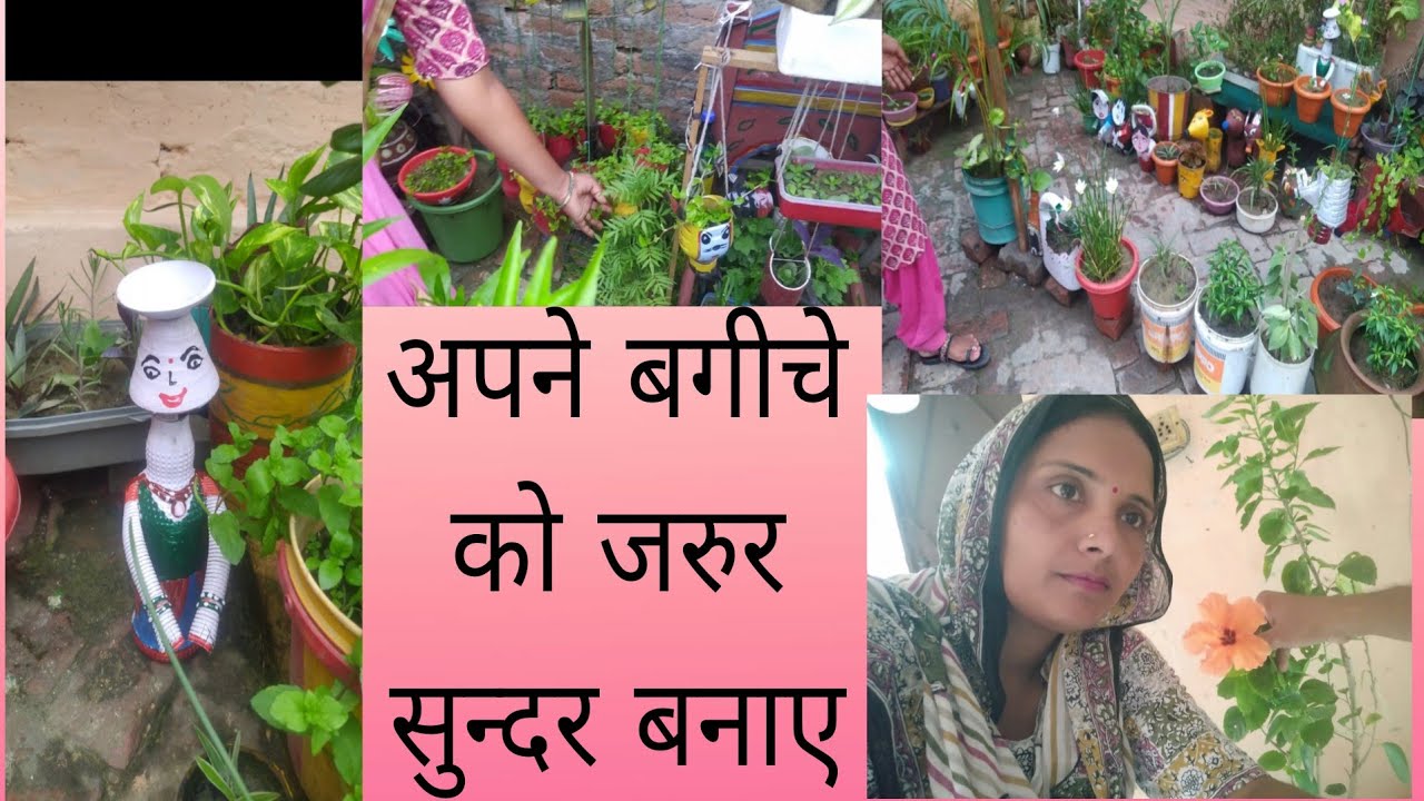 नया बगीचा 2025का#👌👌