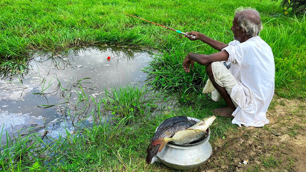 Fishing Video || Fisherman Grandpa is very good at catching fish in the field || Amazing hook trap